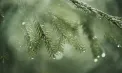 Cer noros și ploi slabe. Câte grade se vor înregistra astăzi, dar și în următoarele zile. Prognoza meteo
