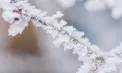 Vreme extrem de rece în Europa după sărbători: experții avertizează asupra unui val de frig polar - VIDEO