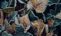 Cer noros în toată țara. Câte grade se vor înregistra astăzi, dar și în următoarele zile. Prognoza meteo
