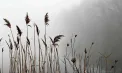 Cer noros și ploi slabe. Câte grade se vor înregistra astăzi, dar și în următoarele zile. Prognoza meteo