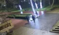 Act de vandalism în centrul municipiului Bălți: Trei tineri distrug decorațiunile de Crăciun din parc, pagube estimate la 100 de mii de lei - VIDEO
