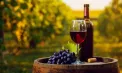 Contrabandă cu vin moldovenesc trimis în SUA de 3,6 milioane de lei. Șase persoane și patru companii – pe banca acuzațiilor