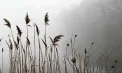 Cer noros și ploi slabe în nordul țării. Câte grade se vor înregistra astăzi, dar și în următoarele zile. Prognoza meteo
