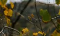 Cer variabil și temperaturi minime de până la -2 grade Celsius. Cum va fi vremea astăzi, dar și în următoarele zile. Prognoza meteo