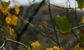 Temperaturi de până la 8 grade vom avea în capitală. Cum va fi vremea în toată țara. Prognoza meteo