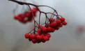 Cer variabil, fără ploi. Câte grade se vor înregistra astăzi în capitală, dar și în toată țara. Prognoza meteo