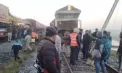 Șapte elefanți, uciși într-un accident de tren în India. Mecanicul a spus că turma s-a repezit spre locomotivă
