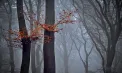 Vreme rece și posomorâtă. Câte grade se vor înregistra astăzi, dar și în următoarele zile. Prognoza meteo
