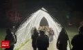 Sărbători de iarnă ca într-o poveste science-fiction: San Francisco uimește vizitatorii cu un decor spectaculos de Crăciun la Grădina Botanică Golden Gate - VIDEO