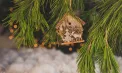 Temperaturi de minus 12 grade în nordul țării. Cum va fi vremea de Crăciun. Prognoza meteo
