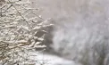Primele geruri serioase ale iernii vin de Crăciun: temperaturile vor coborî până la –13 grade, iar nordul țării intră sub cod galben - VIDEO