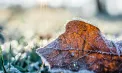 Va ninge în centrul țării. Ce temperaturi se vor înregistra în toată țara. Prognoza meteo 