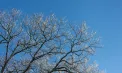 Cer noros cu ninsori slabe, iar în capitală vom avea 2 grade. Cum va fi vremea în ultimele zile din acest an. Prognoza meteo