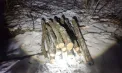 Un bărbat - amendat, după ce a fost prins în timp ce tăia copaci, la Rîșcani