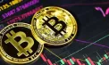 La început de an, preţul Bitcoin începe să crească din nou și ajunge la 92.500 de dolari