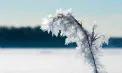 Cer noros cu ninsoare și lapoviță. Cum va fi vremea în următoarele zile. Prognoza meteo 