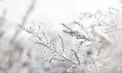 Vreme geroasă în weekend. La nord se așteaptă -15 grade noaptea, iar în capitală - 10. Câte grade se vor înregistra în toate regiunile țării
