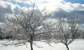 În capitală se vor înregistra - 3 grade, iar în nordul țării - 6 grade. Cum va fi vremea în următoarele zile. Prognoza meteo