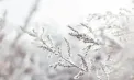 Vreme geroasă în weekend. La nord se așteaptă -18 grade noaptea, iar în capitală - 7. Câte grade se vor înregistra în toate regiunile țării
