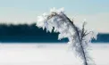 Vreme rece în țară. La nord se așteaptă -17 grade noaptea, iar în capitală -15 grade. Câte grade se vor înregistra în toate regiunile țării
