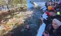 Tineri și adulți din Belgrad s-au scufundat în apele reci ale râului Sava, în încercarea de a găsi crucea aruncată de preot – un ritual urmărit anual de mii de curioși - VIDEO