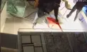 Cinci hoți mascați au furat, în doar două minute, aur și pietre prețioase în valoare de un milion de euro, într-un mall din Germania. Momentul - surprins de camerele de supraveghere - VIDEO