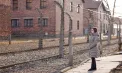 Ziua Internațională de Comemorare a Victimelor Holocaustului: Maia Sandu va participa la ceremonia organizată la Strasbourg – FOTO