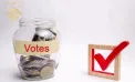 A plătit alegători să voteze „Nu” la referendum: O femeie - condamnată la închisoare. Câți bani oferea pentru vot