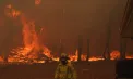 Incendiile de vegetație au devastat sud-estul Australiei. Temperaturile au atins recorduri de până la 49 de grade Celsius - VIDEO