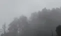 Codul galben de ceață - prelungit de meteorologi. Până când va fi valabil - FOTO