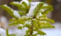 Vreme geroasă cu -20 de grade la nord și -14 în capitală. Ce temperaturi se vor înregistra la început de februarie. Prognoza meteo