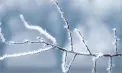 Vreme geroasă în țară. La nord se așteaptă -21 grade noaptea, iar în capitală -9 grade. Ce temperaturi se vor înregistra în următoarele zile