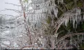 Cod galben de ghețuș și polei emis de meteorologi pe întreg teritoriul țării. Până când este valabil - FOTO
