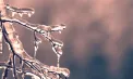 Ploi și lapoviță în centrul și nordul țării. Câte grade se vor înregistra astăzi și în următoarele zile. Prognoza meteo
