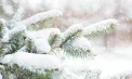 Ninsori în centrul și nordul țării. Câte grade se vor înregistra astăzi și în următoarele zile. Prognoza meteo 