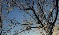 Vreme geroasă cu -17 grade la nord și -14 în capitală. Ce temperaturi se vor înregistra în următoarele zile. Prognoza meteo