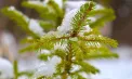 Vremea se încălzește ușor. Ce temperaturi se vor înregistra astăzi și în următoarele zile. Prognoza meteo 