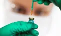 Reguli mai stricte pentru utilizarea vaccinurilor la animale: Ce prevede noua normă sanitară aprobată de Guvern 