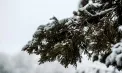 Ploi și lapoviță în toată țara. Ce temperaturi se vor înregistra. Prognoza meteo
