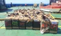 Captură uriașă în Pacific. Marina franceză a confiscat 2,4 tone de cocaină în cooperare cu SUA - FOTO
