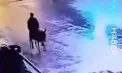 Jaf mai puțin obișnuit în Turcia. Un bărbat a spart un magazin de bijuterii cu un motostivuitor și a fugit călare pe măgar - VIDEO