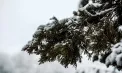 Ninsori slabe în centrul și sudul țării. Ce temperaturi se vor înregistra astăzi. Prognoza meteo 