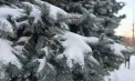 Vreme rece în țară. La nord se așteaptă -11 grade noaptea, iar în capitală -8 grade. Cum va fi vremea în următoarele zile. Prognoza meteo