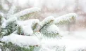 Ninsori în toată țara. Se așteaptă minime de -11 grade la nord. Câte grade se vor înregistra în celelalte regiuni. Prognoza meteo