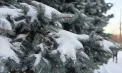 Ninsori în centrul și sudul țării. Ce temperaturi se vor înregistra astăzi și în următoarele zile. Prognoza meteo