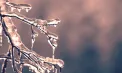 Lapoviță în nordul țării. Câte grade se vor înregistra astăzi și în următoarele zile. Prognoza meteo