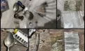 Percheziții la Rezina: Un bărbat ar putea sta ani grei la pușcărie, după ce și-a transformat locuința într-o speluncă de droguri - FOTO 