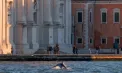 Povestea lui Mimmo: Cum a ajuns un delfin solitar să dea lecții de adaptare oamenilor din Veneția - FOTO 