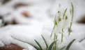 Vremea se încălzește în weekend. Cer variabil și maxime de 7 grade vom avea în capitală. Ce temperaturi se vor în înregistra în toată țara 