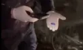 Cinci persoane - prinse în timp ce preluau pachețele cu narcotice, la Strășeni: Una dintre acestia a încercat să mituiască polițiștii - VIDEO